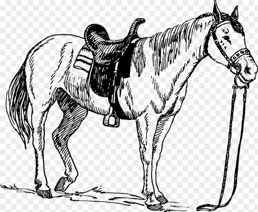 Horse Saddle Drawing Clip Art PNG