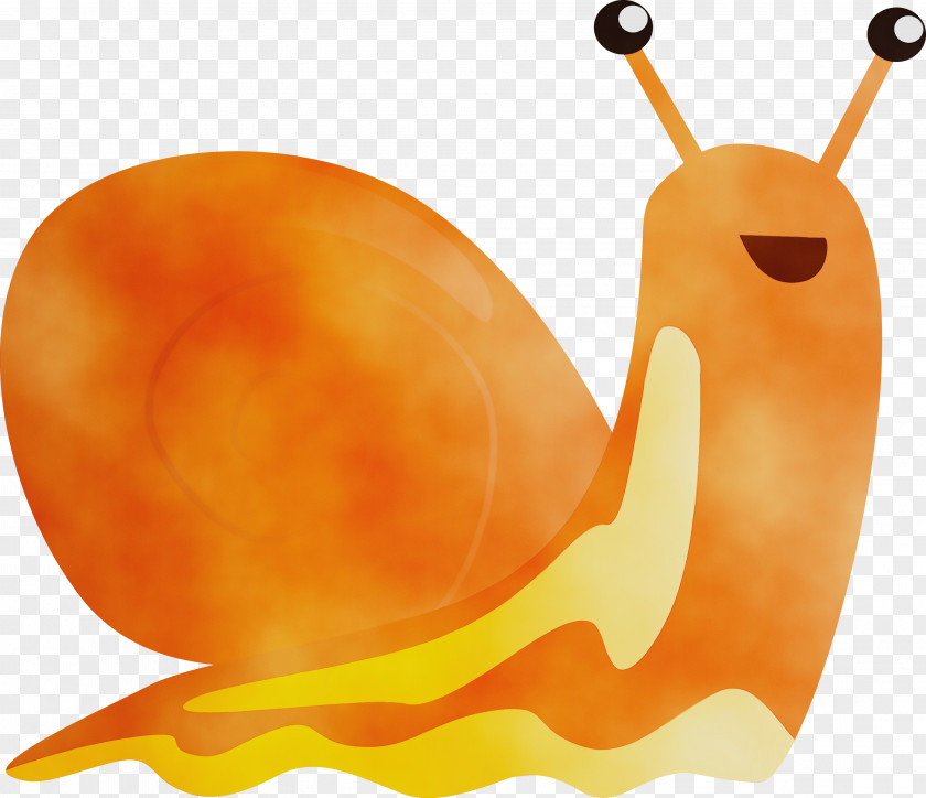 Orange PNG