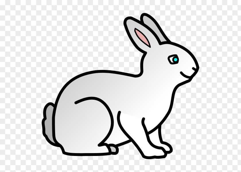 Rabbit Domestic Coloring Book Easter Bunny Drawing PNG