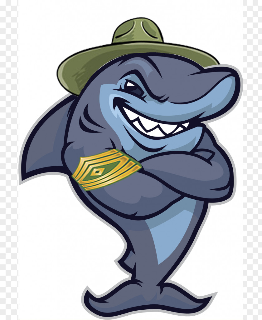 Shark Graphic Great White Tooth Clip Art PNG