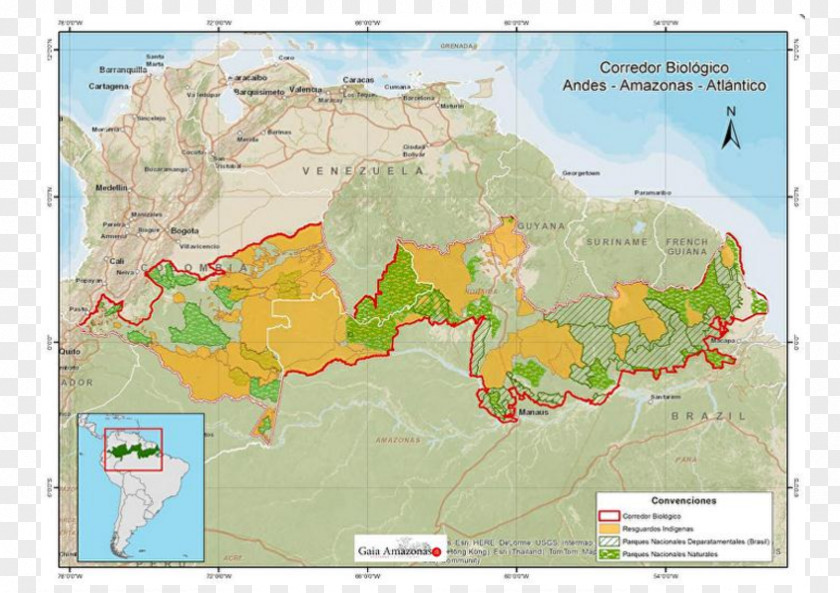 Transnacional Amazon Rainforest Ecoregion Cachoeira Porteira Ministério Público Federal PNG