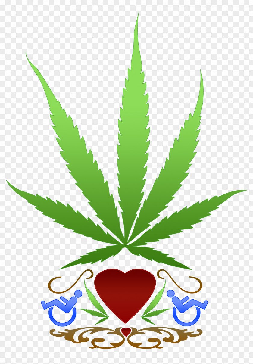 Cannabis Medical Sativa Marijuana PNG