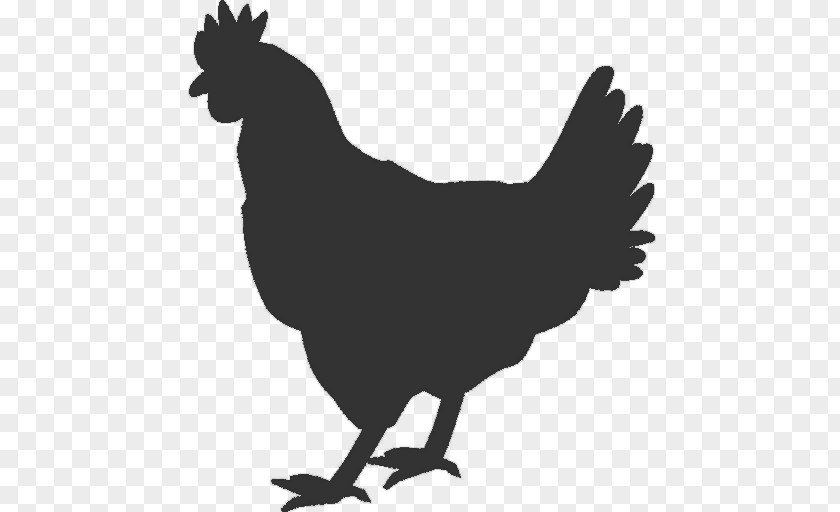 Chicken Rooster Hen Sticker Decal PNG