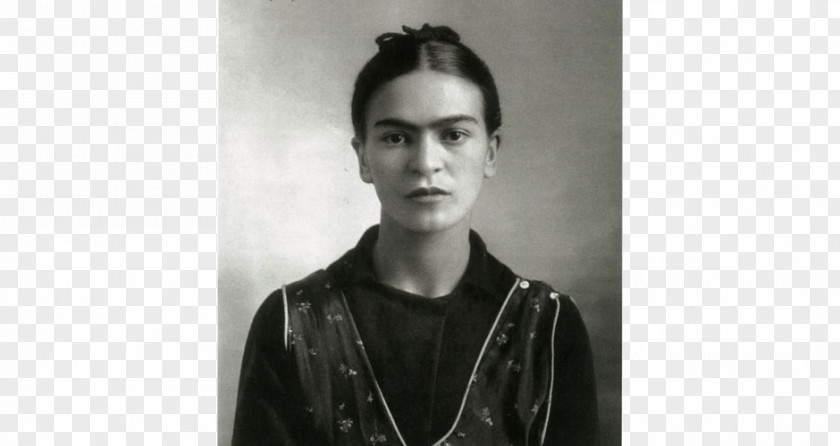 Introduction Diego Rivera Frida Kahlo Museum Artist PNG