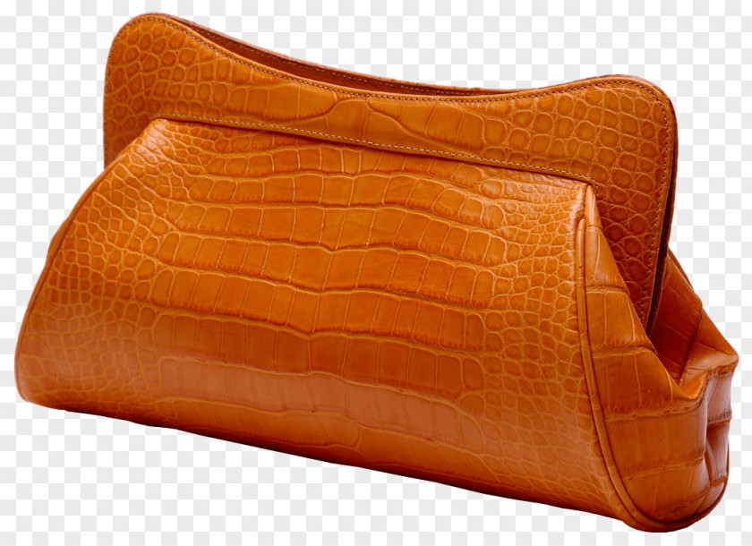 Leather Women Bag Image Handbag Saddlebag Messenger PNG