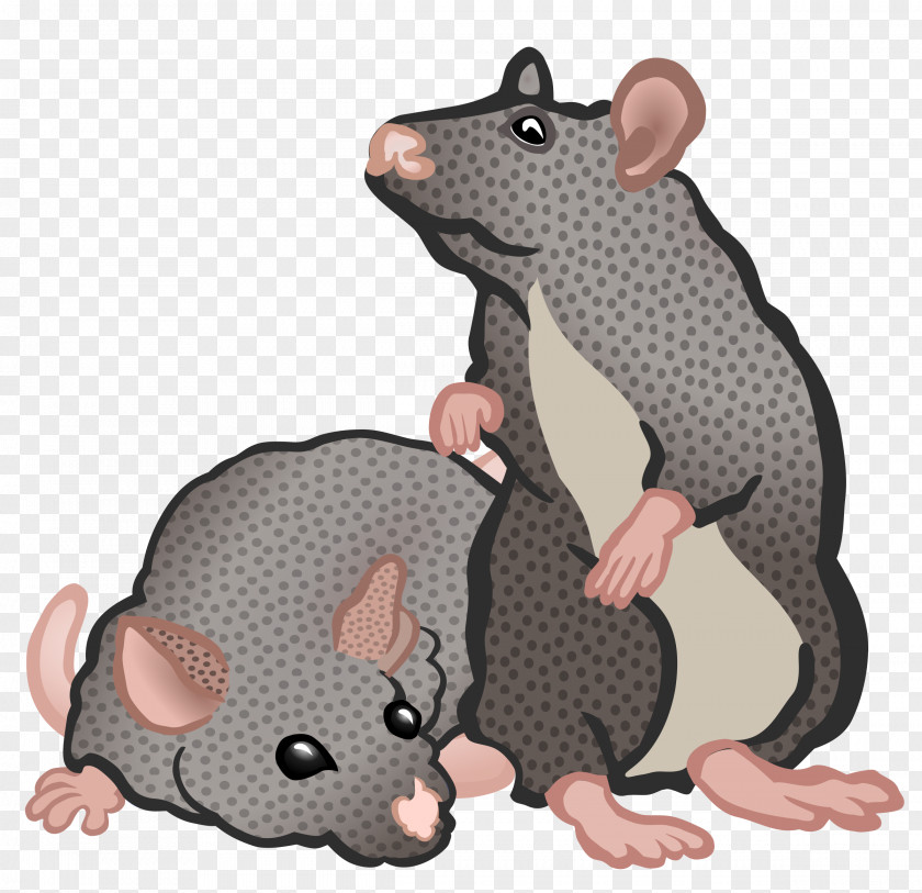 Mouse Rat Rodent Clip Art Openclipart PNG
