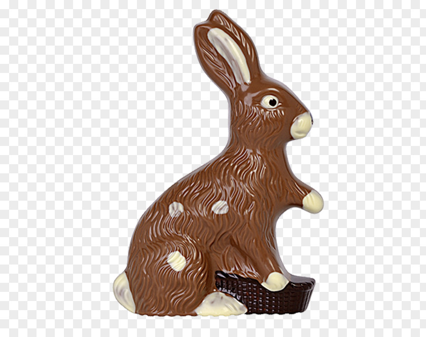 Ose Domestic Rabbit Easter Bunny Hare PNG