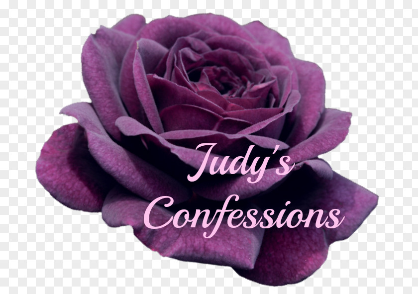 True Confessions Garden Roses Cabbage Rose Floribunda Cut Flowers PNG