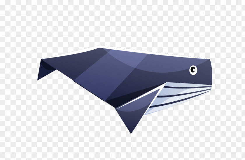 Whale Paper Origami Balaenidae PNG