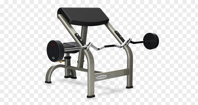 Biceps Curl Bench Weight Training Exercise Machine Equipment PNG