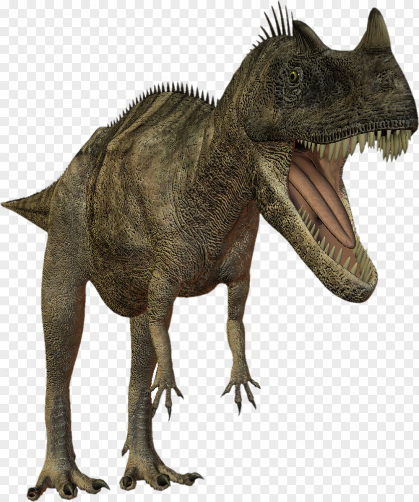 Dinosaur Tyrannosaurus Dinosaurs & Prehistoric Animals Mesozoic PNG