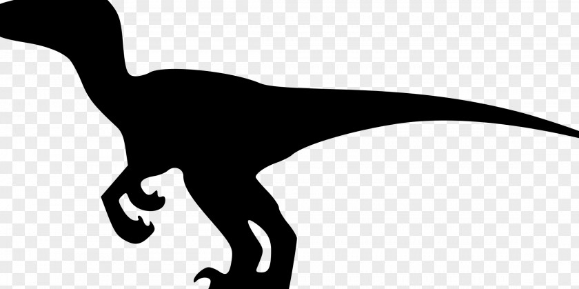 Dinosaur Velociraptor Tyrannosaurus Brachiosaurus Clip Art PNG
