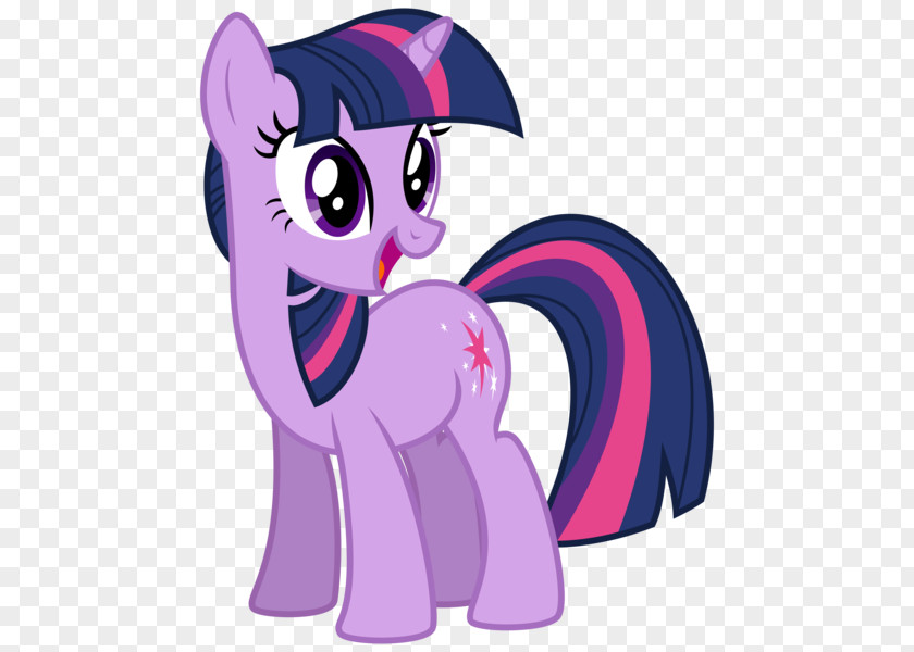 My Little Pony Twilight Sparkle Rarity Spike Pinkie Pie PNG