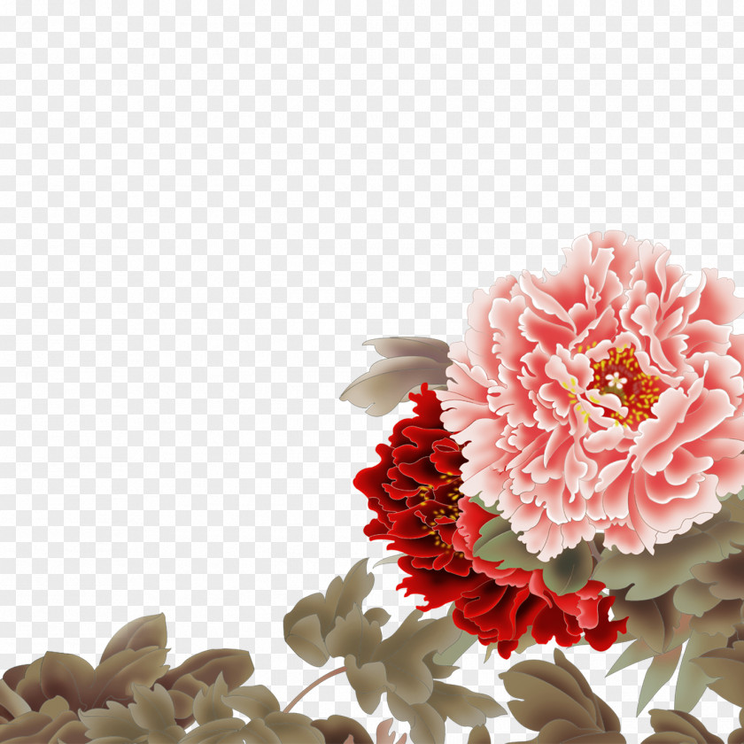 Peony Wall Adobe Illustrator Computer File PNG