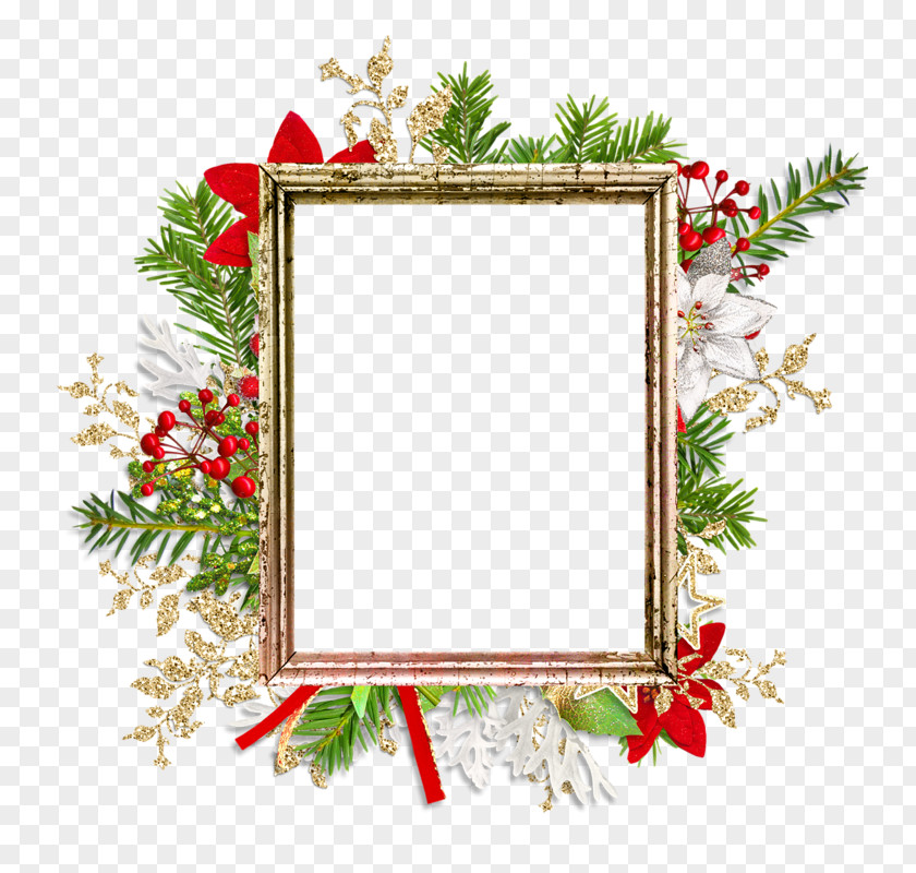 Pine Family Graphic Design Frame PNG