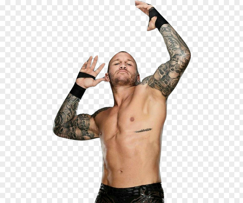 Randy Orton WWE SmackDown Royal Rumble 2018 Desktop Professional Wrestling PNG wrestling, randy orton clipart PNG