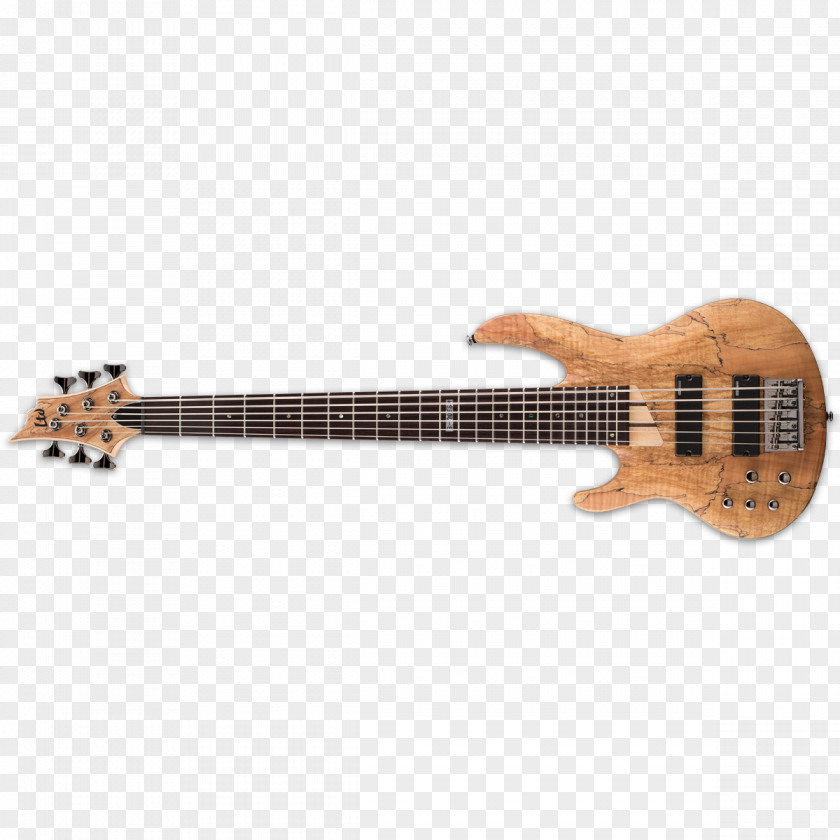 Bass Guitar 5 String Ibanez SR505 Electric PNG