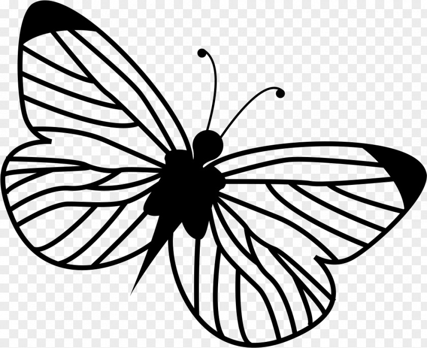 Butterfly Monarch Clip Art Barbecue PNG
