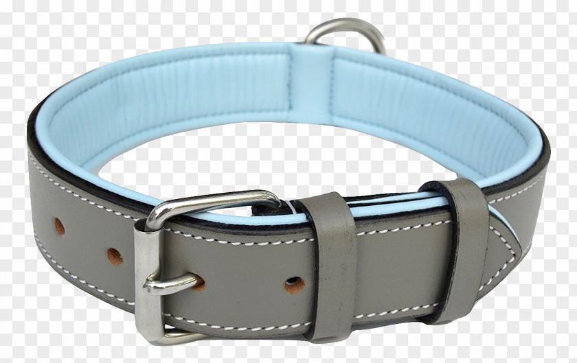 Dog Collar Leather Leash PNG