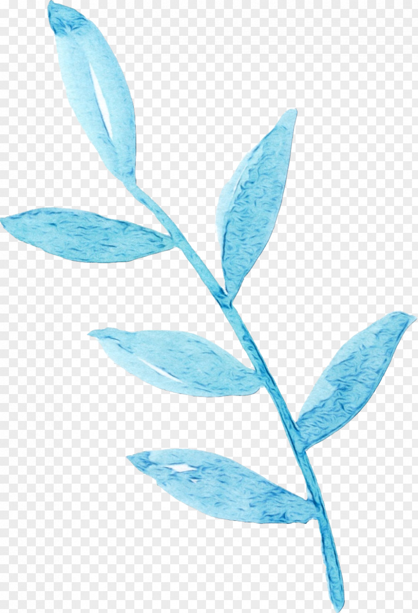 Flower Turquoise Watercolor Background PNG