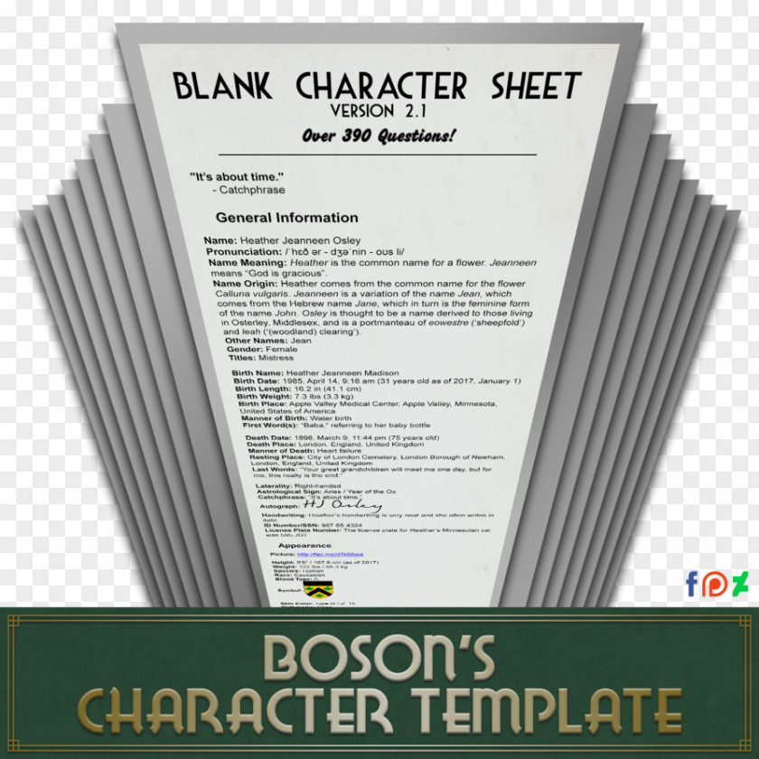 Journal Writing Format Typed Character Sheet Player Information Question PNG