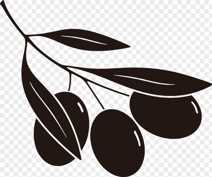 Olives Olive Clip Art PNG