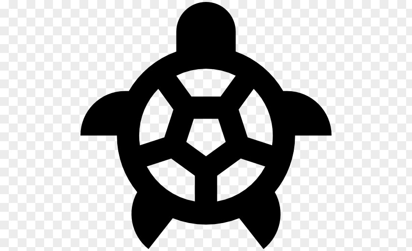 Turtle Icon Pukekohe AFC Bledisloe Park Family Guy: Back To The Multiverse Clip Art PNG