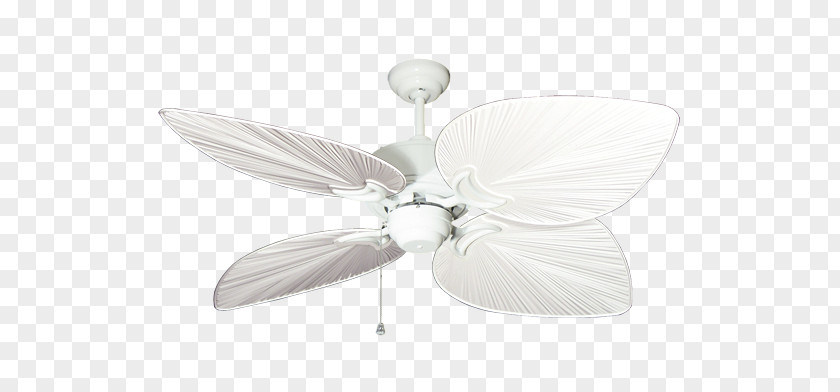 Wind Blowing Ceiling Fans Blade Casa Vieja Rattan PNG