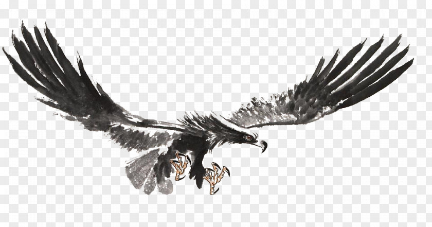 Wings Of The Sea Bald Eagle Chinese Painting Ink Wash PNG