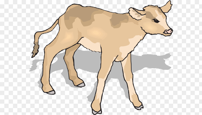 Calf Cliparts Angus Cattle Clip Art PNG