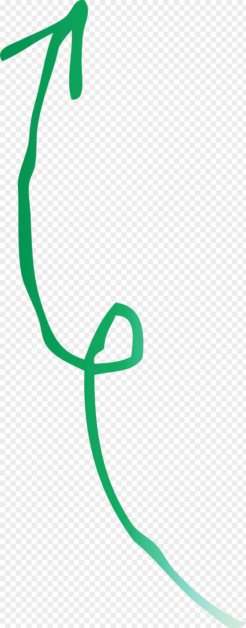 Curved Arrow PNG