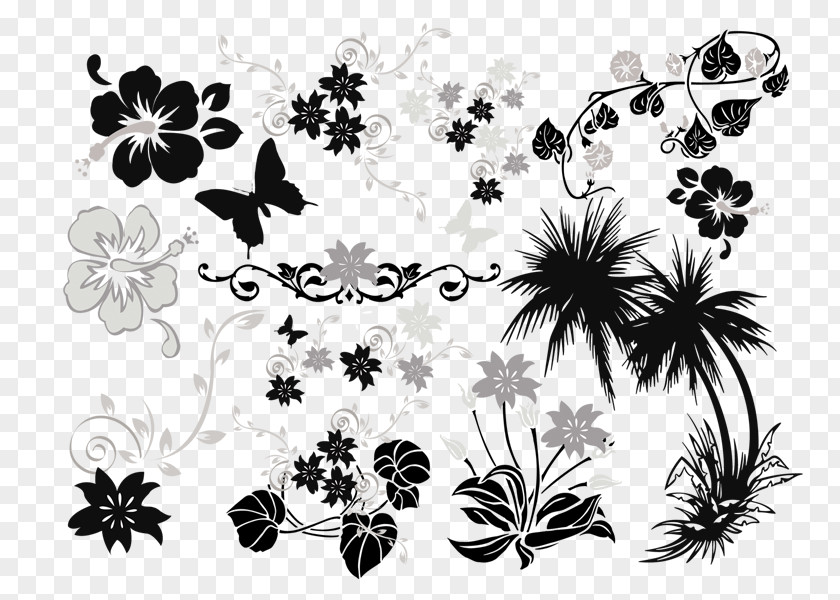 Floral Design Blu-ray Disc Dolby Atmos Cinema Clip Art PNG