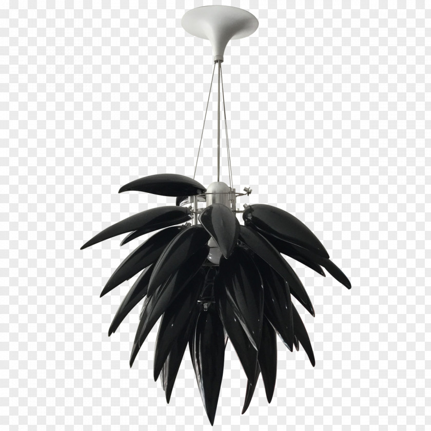 Modern Chandelier Ceiling PNG