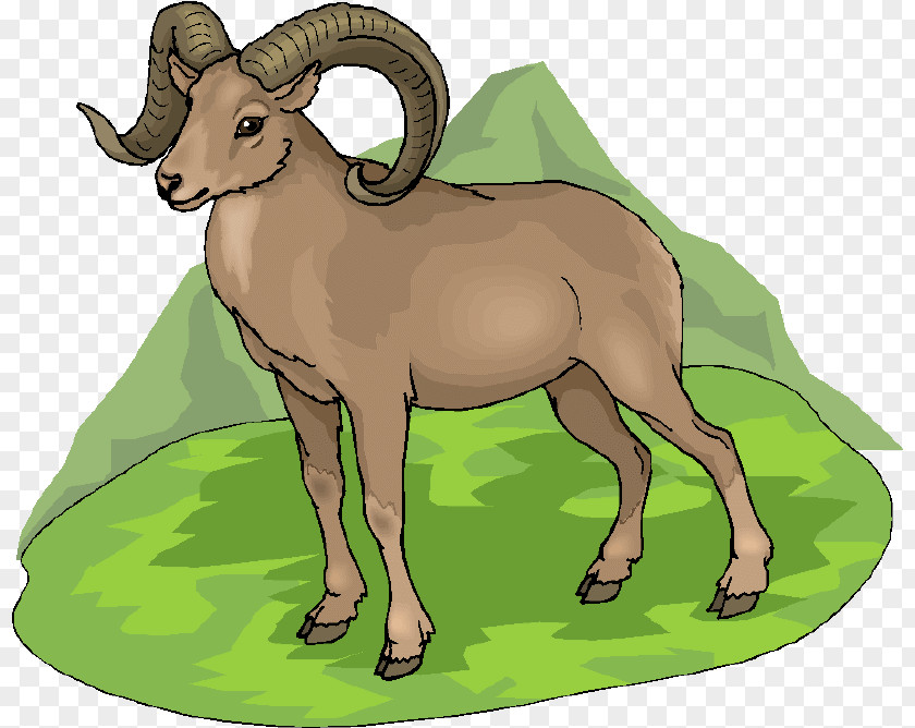 Sheep Barbary Argali Horse Animal PNG