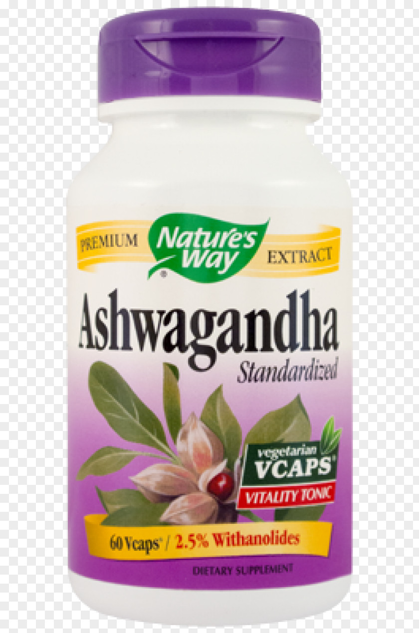 Ashwagandha Rennet Dietary Supplement Nature Rhodiola Rosea Adaptogen PNG