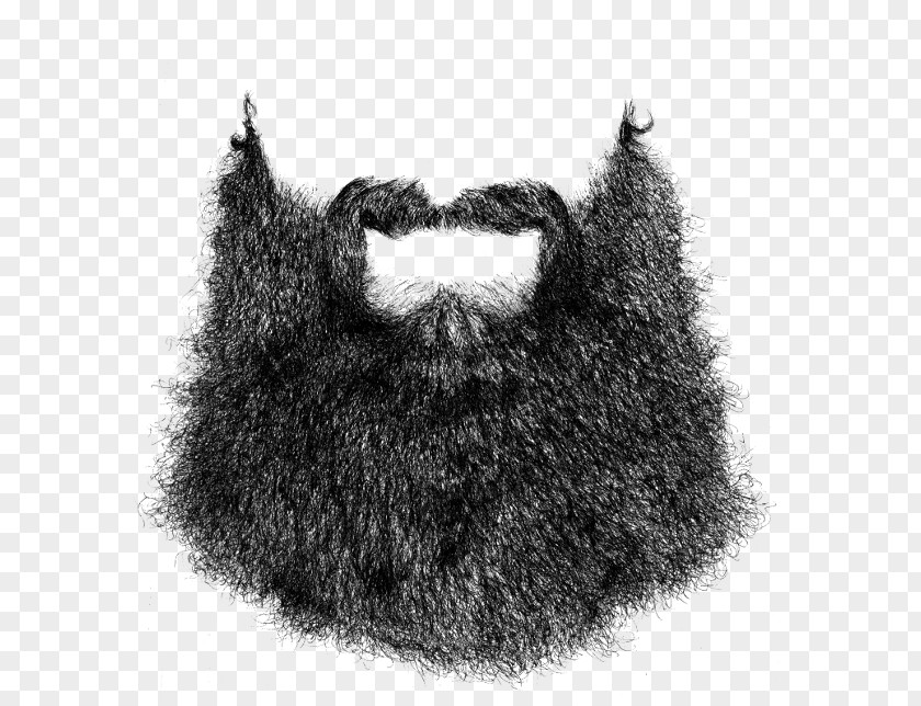 Beard Blanket T-shirt Man Facial Hair PNG