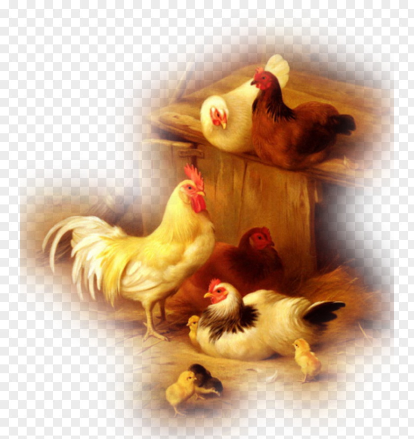 Chicken Oil Painting Reproduction Chickens And Chicks PNG