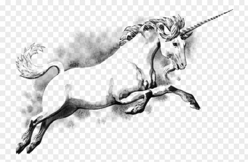 Creature Unicorn Fairy Tale Coloring Book Legendary Scotland PNG