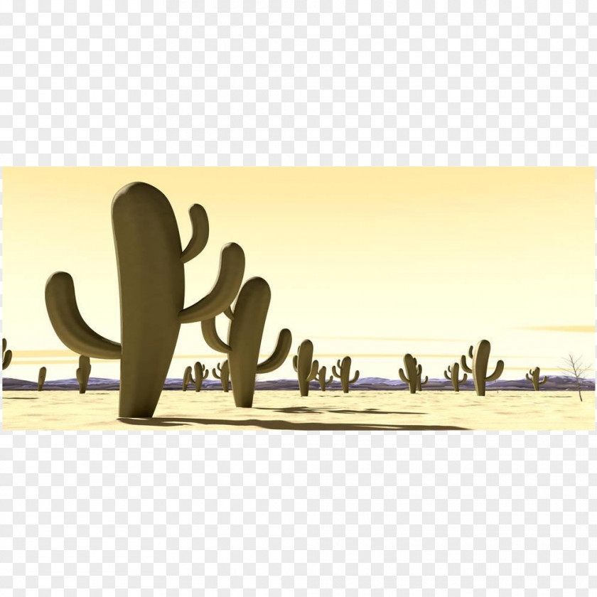 Desert Scenes Stock Photography Royalty-free Image PNG