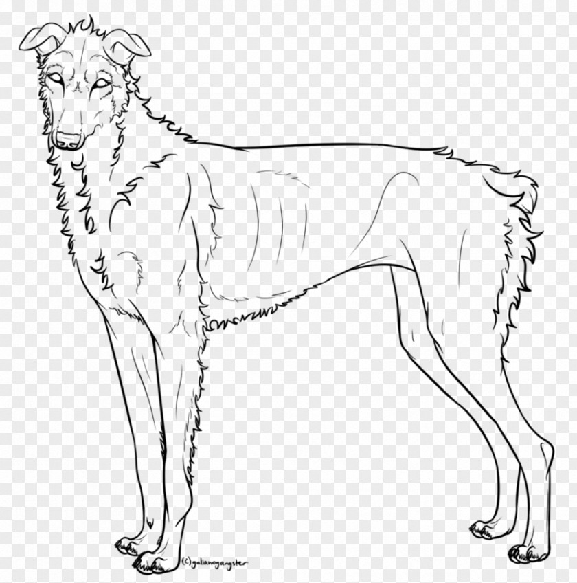 Dog Breed Line Art White PNG