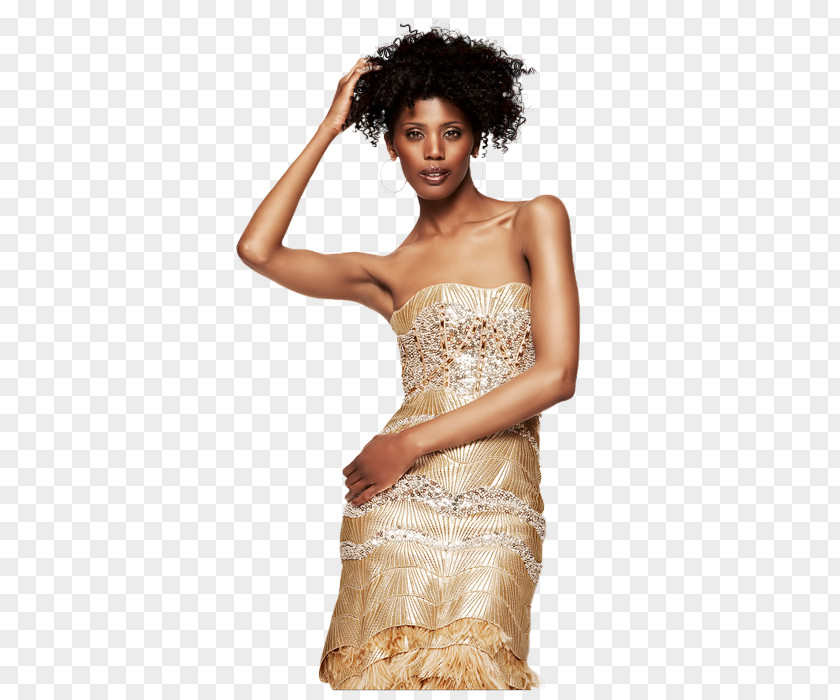 Dress Cocktail Clothing Fashion PNG