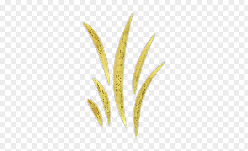 Flowering Plant Flower Yellow Grass Family Leaf PNG