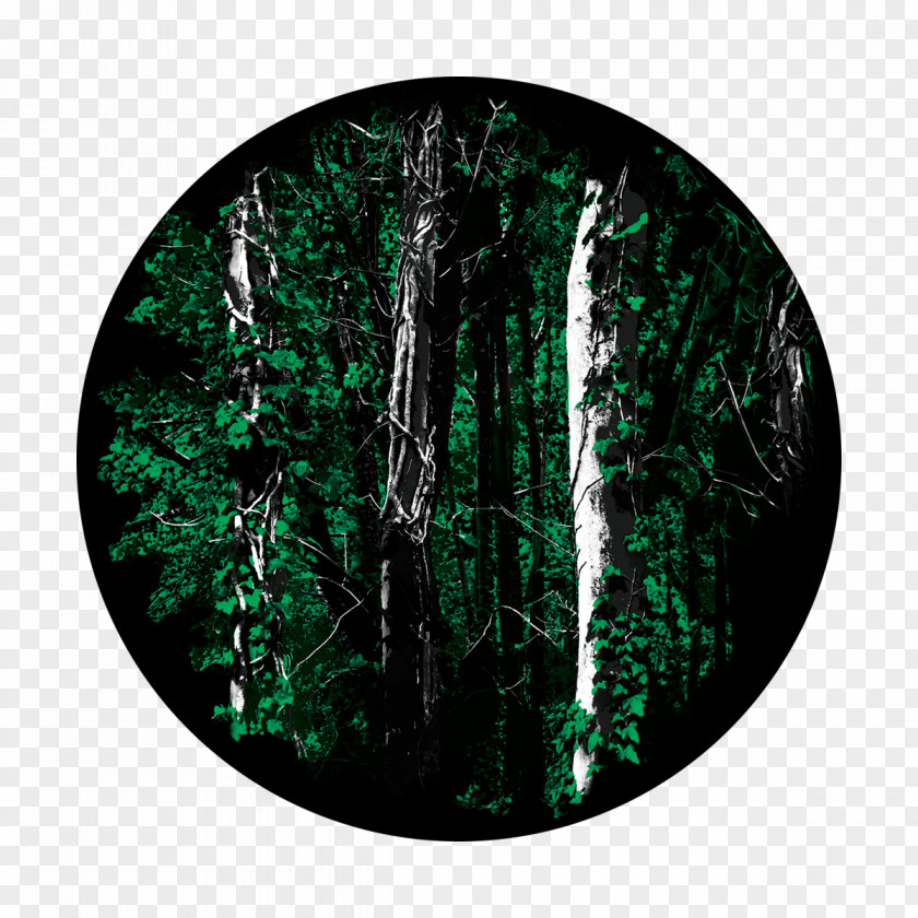 Forest Glass Gobo Tree PNG