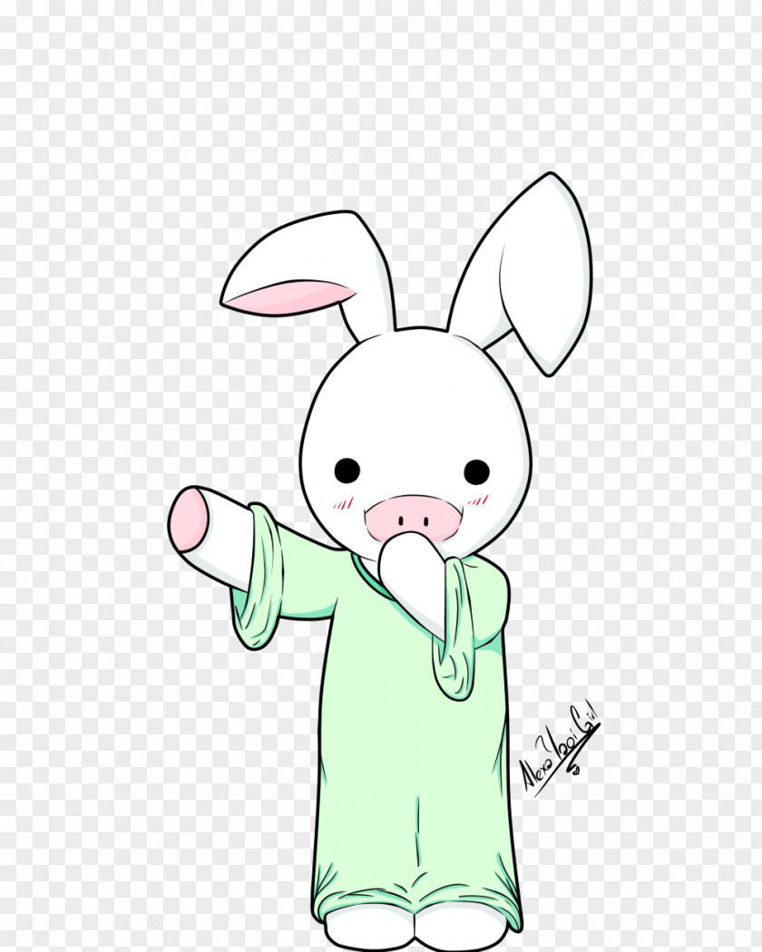 Rabbit Domestic Easter Bunny Hare Whiskers PNG