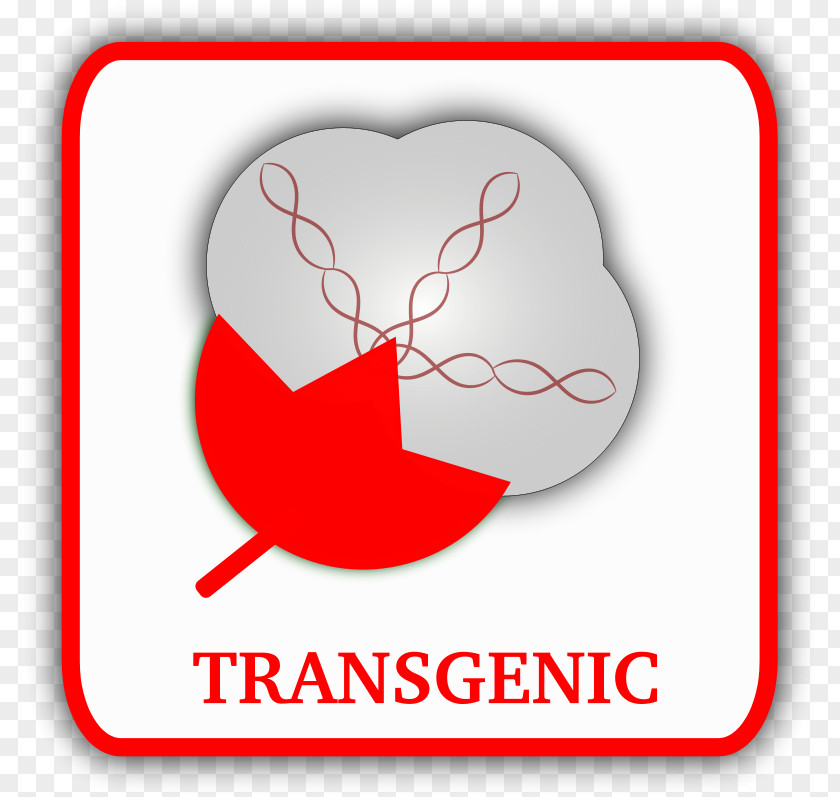 Transgene Genetically Modified Organism Cotton Clip Art PNG