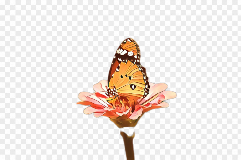 Brushfooted Butterfly Pollinator Monarch PNG