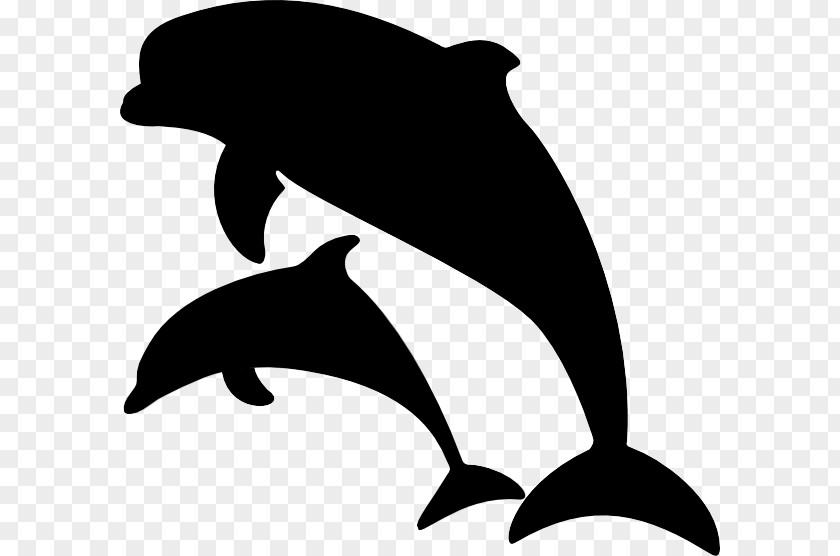 Clip Art Common Bottlenose Dolphin Image Illustration PNG