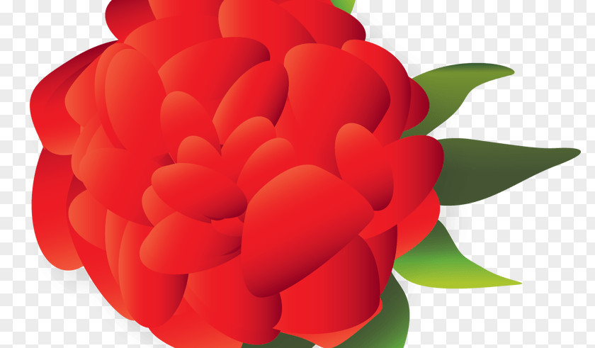 Flower Cut Flowers Mexican Cuisine Clip Art PNG