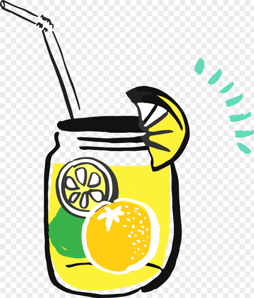 Fruit Juice Drink Cup PNG