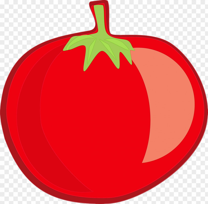 Nightshade Family Tomato PNG